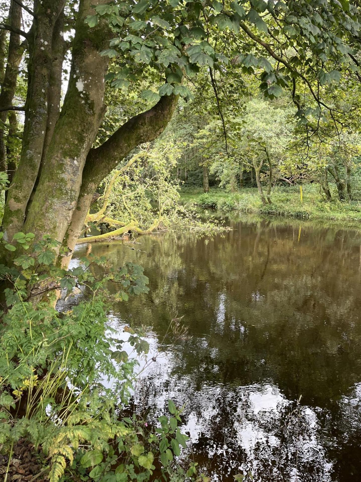 Riverbank Lodge Dollar Bagian luar foto