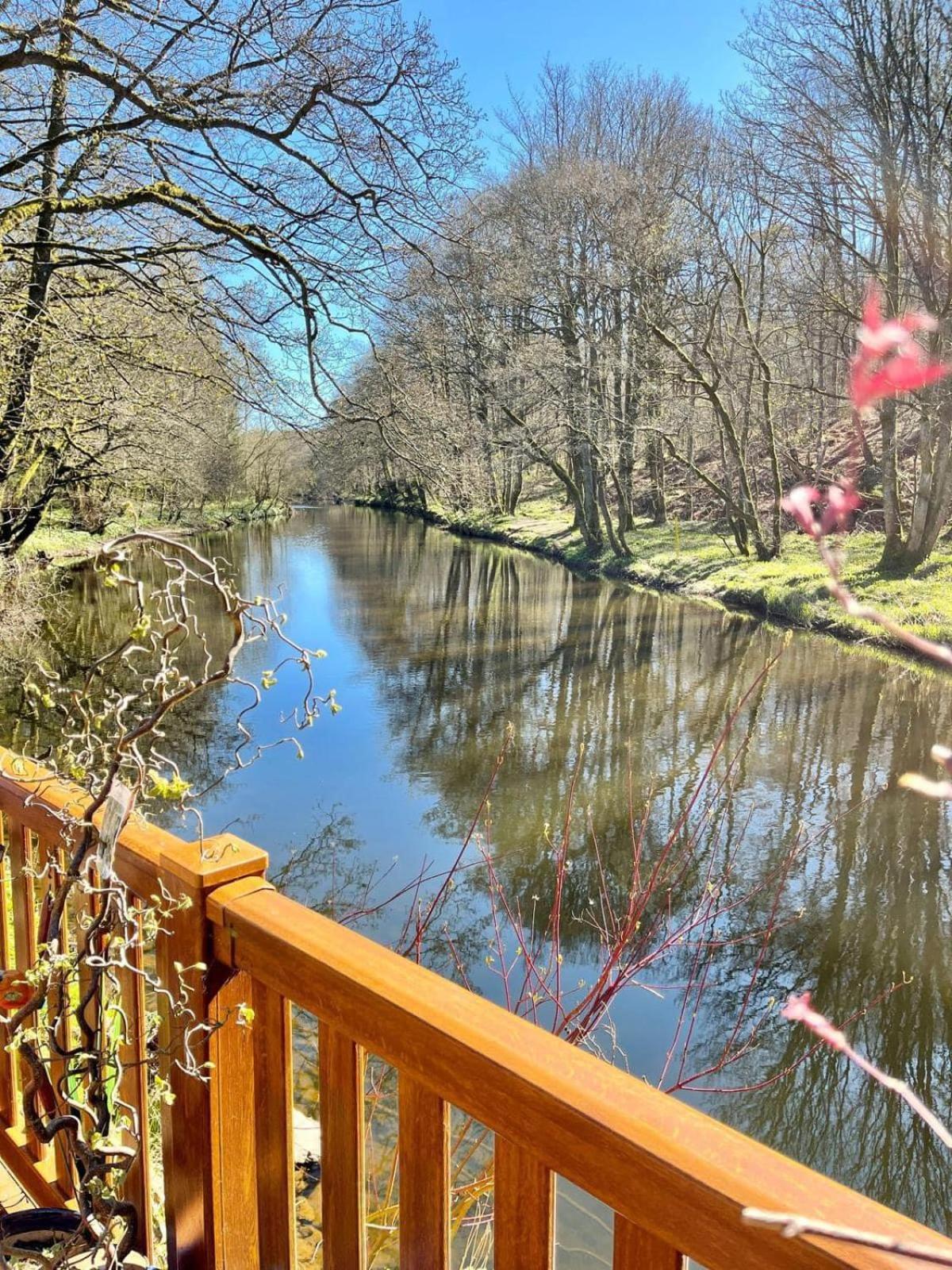 Riverbank Lodge Dollar Bagian luar foto